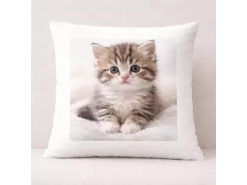 Fotokissen Flauschi 40x40