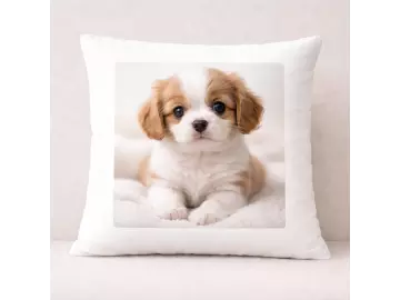 Fotokissen Satin 40x40 mit Fotodruck